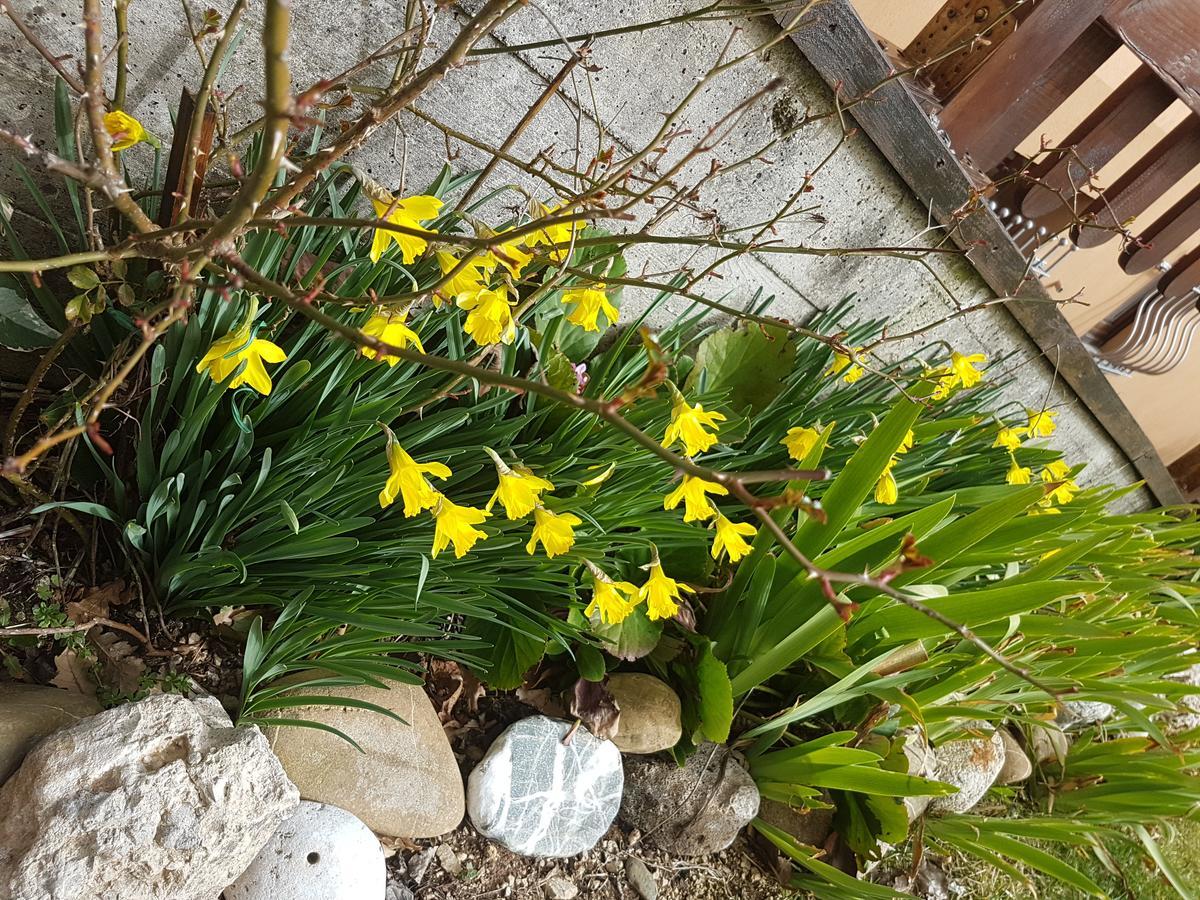 Le Chalet Del Pollino Rotonda Eksteriør bilde