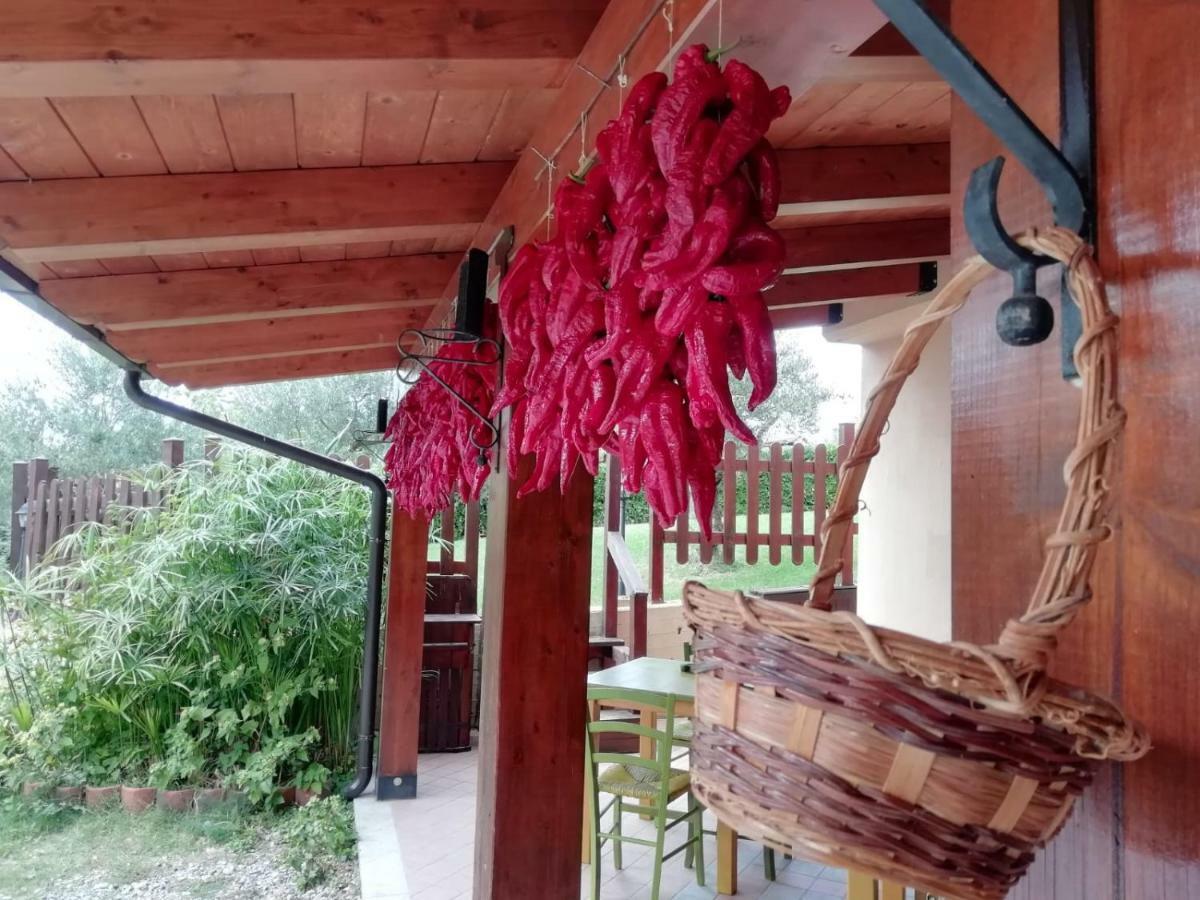 Le Chalet Del Pollino Rotonda Eksteriør bilde