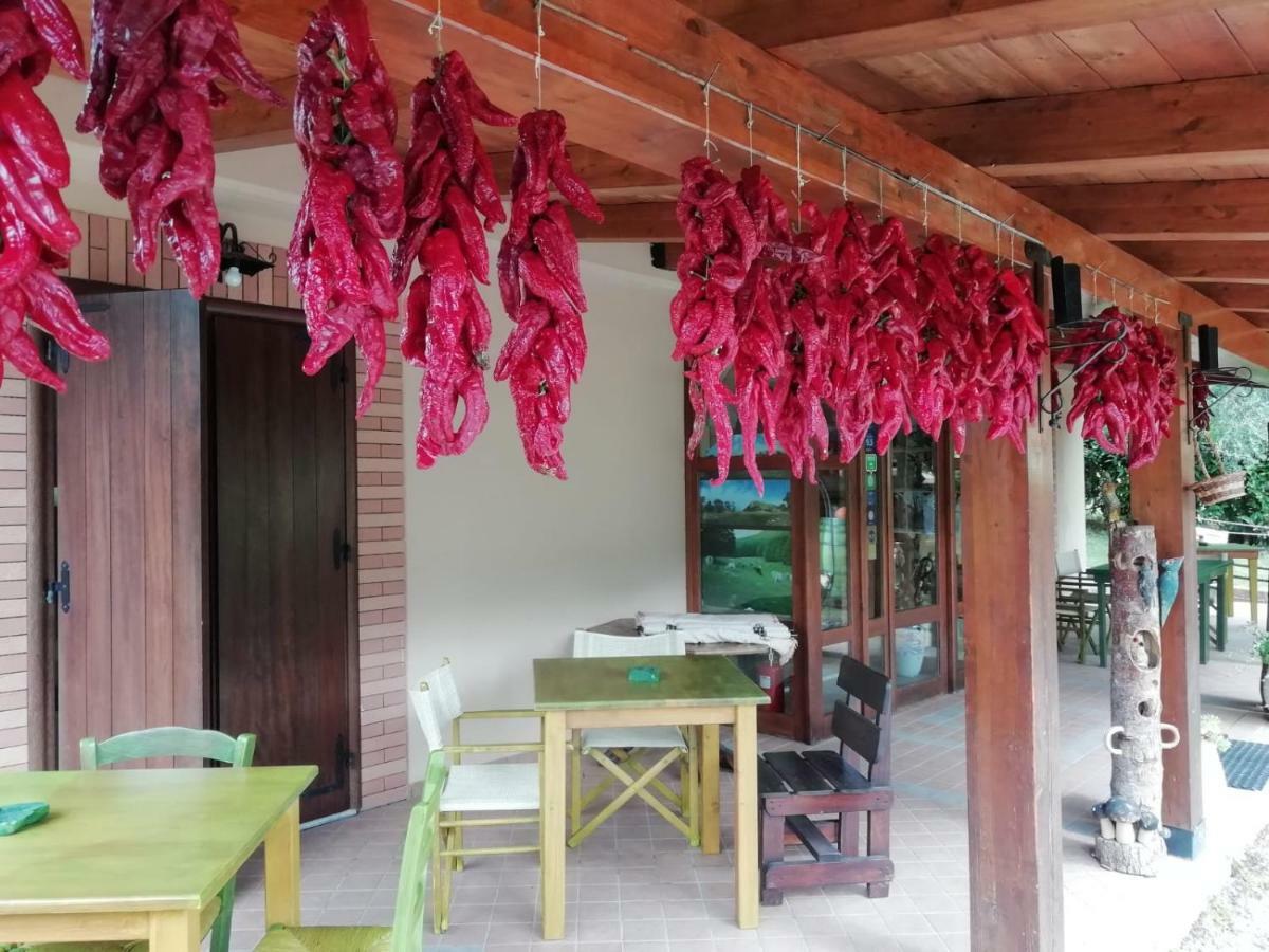 Le Chalet Del Pollino Rotonda Eksteriør bilde